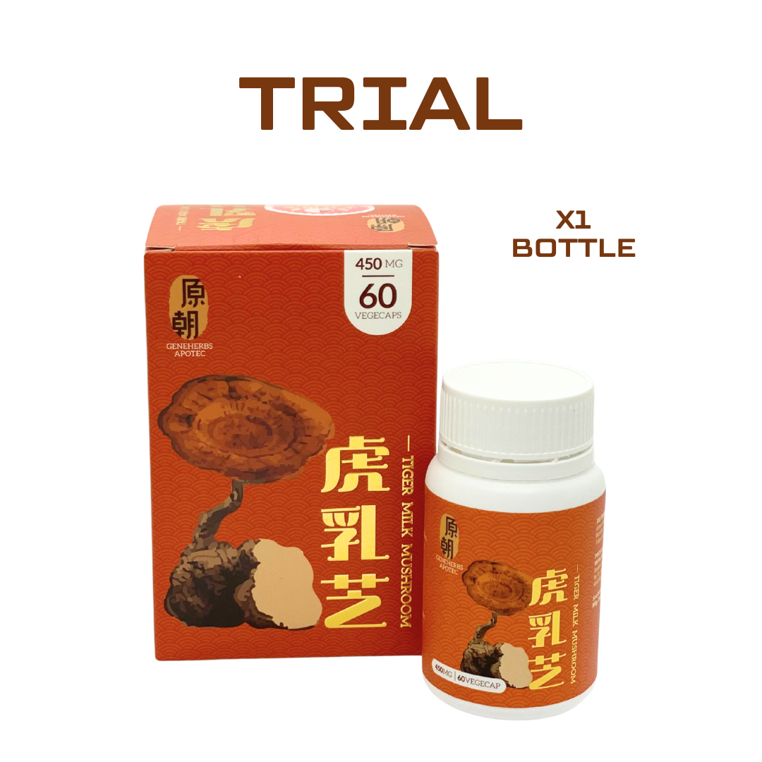Tiger Milk Mushroom 虎乳灵芝
