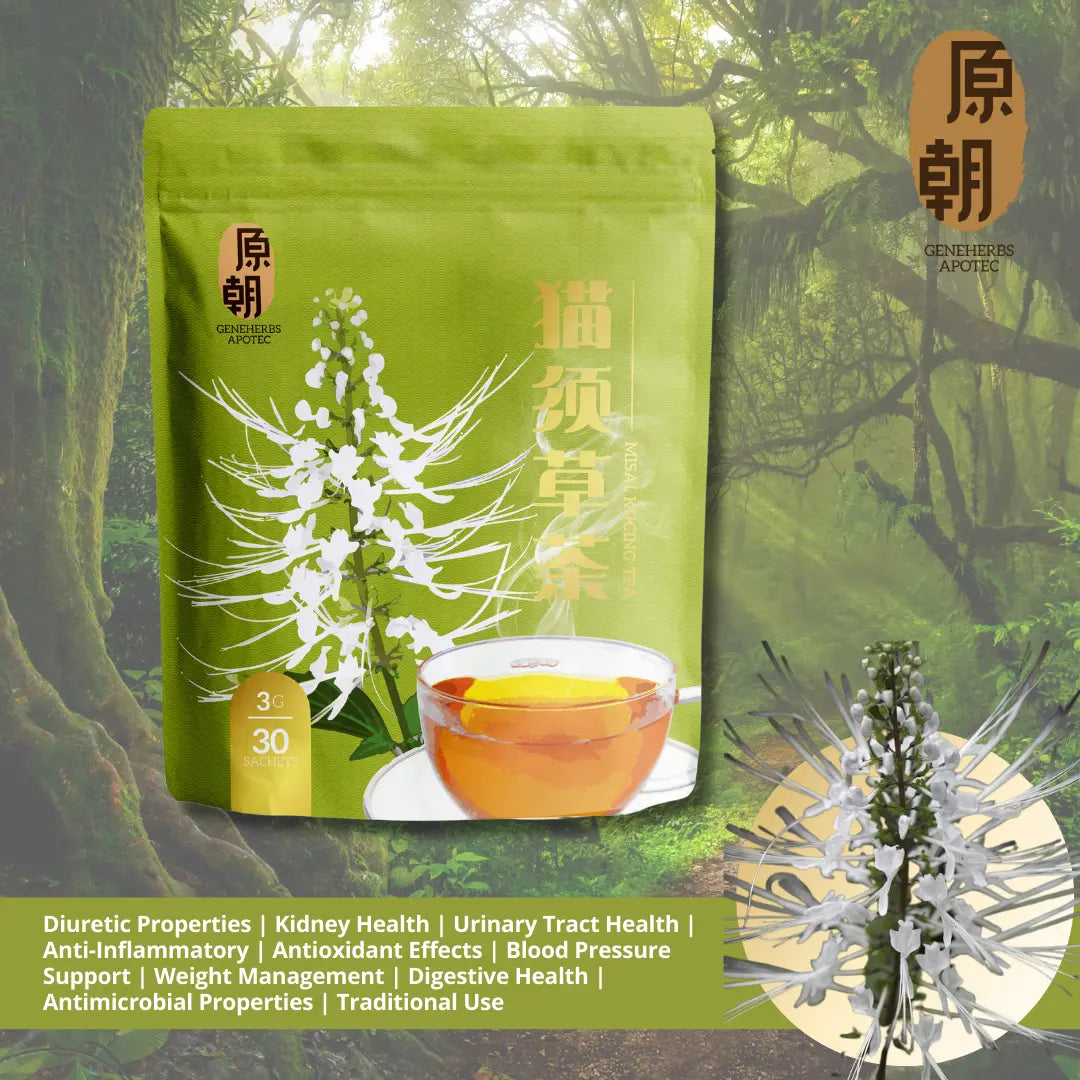 Misai Kucing 猫须草